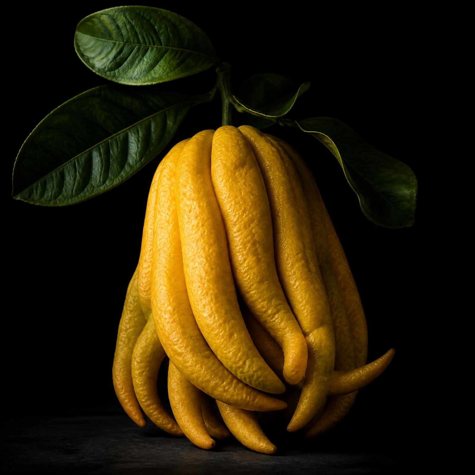Buddha's Hand citron — Campos de Azahar